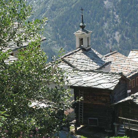Alpia 26 - Zwei Zimmerwohnung In Traditionellem Walliser Haus Gasenried المظهر الخارجي الصورة