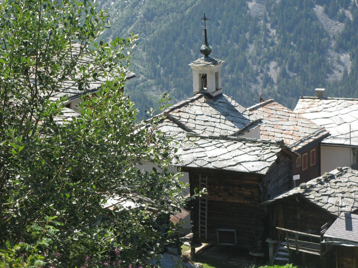 Alpia 26 - Zwei Zimmerwohnung In Traditionellem Walliser Haus Gasenried المظهر الخارجي الصورة