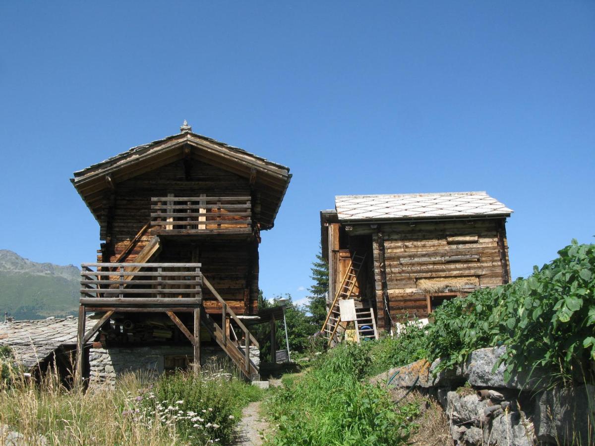 Alpia 26 - Zwei Zimmerwohnung In Traditionellem Walliser Haus Gasenried المظهر الخارجي الصورة