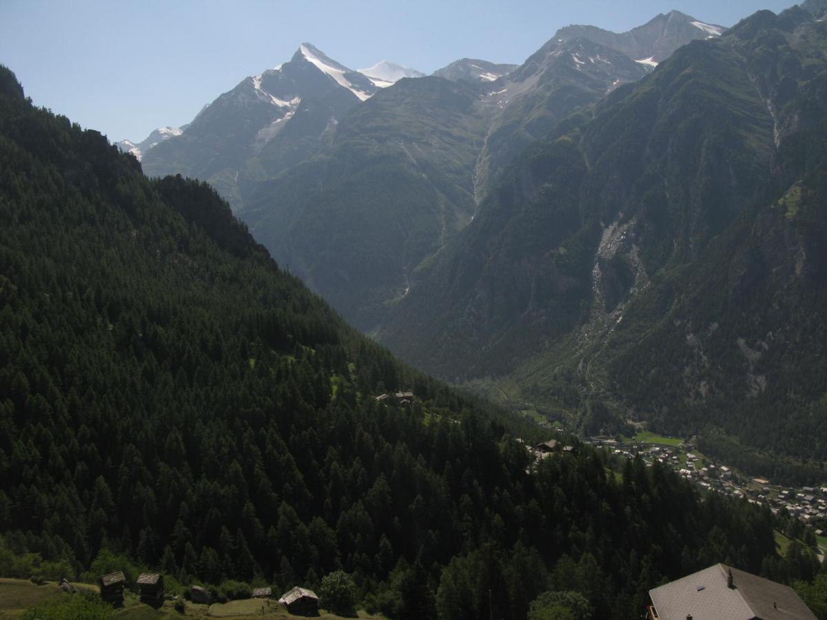 Alpia 26 - Zwei Zimmerwohnung In Traditionellem Walliser Haus Gasenried المظهر الخارجي الصورة